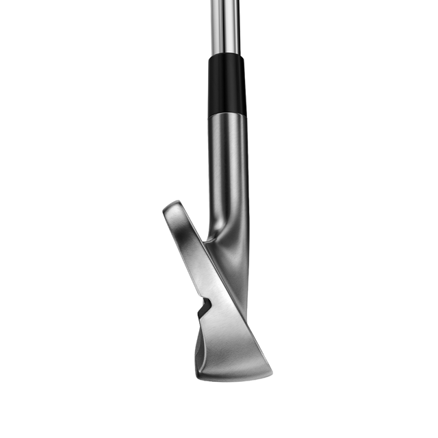 Miura Golf TC-202 RAW