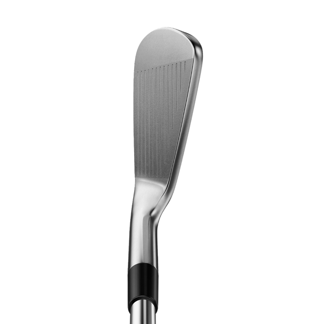 Miura Golf TC-202 RAW