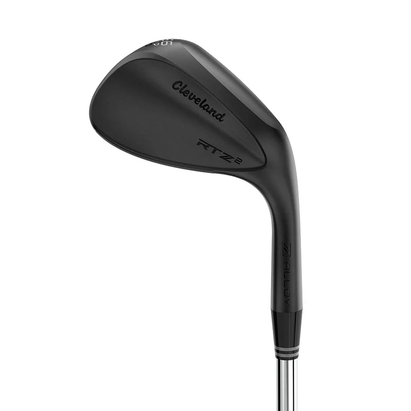Cleveland RTZ 2 Black Satin Wedge